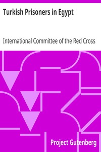 Turkish Prisoners in Egypt: A Report by the Delegates of the International Committee of the Red Cross