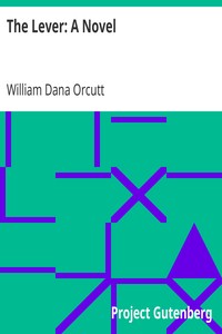 The Lever: A Novel
