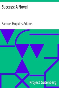 Success: A Novel