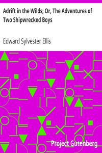 Adrift in the Wilds; Or, The Adventures of Two Shipwrecked Boys