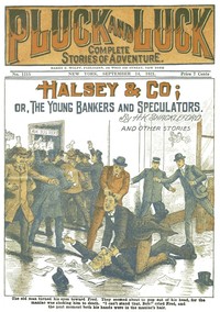 Halsey & Co.: or, The Young Bankers and Speculators