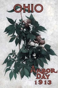 Ohio Arbor Day 1913: Arbor and Bird Day Manual: Issued for the Benefit of the Schools of our State