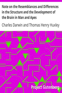 Note on the Resemblances and Differences in the Structure and the Development of the Brain in Man and Apes