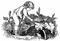 Wood Magic: A Fable