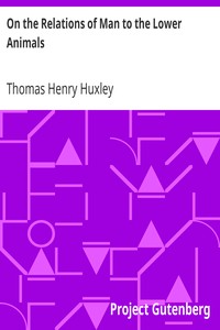 On the Relations of Man to the Lower Animals