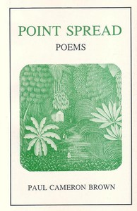 Point Spread Poems