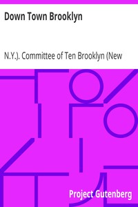 Down Town Brooklyn: A Report to the Comptroller of the City of New York on Sites for Public Buildings and the Relocation of the Elevated Railroad Tracks now in Lower Fulton Street, Borough of Brooklyn