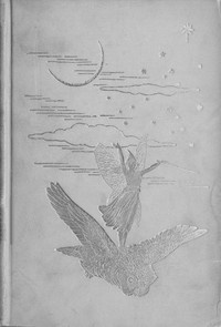 The Grey Fairy Book