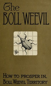 How to Prosper in Boll Weevil Territory