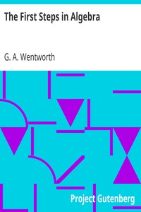 The First Steps in Algebra