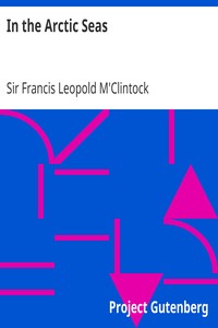 In the Arctic Seas: A Narrative of the Discovery of the Fate of Sir John Franklin and his Companions
