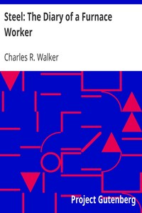 Steel: The Diary of a Furnace Worker