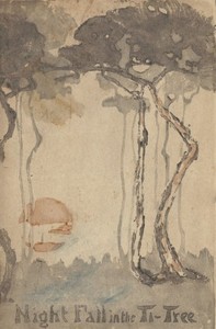 Night Fall in the Ti-Tree