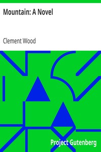 Mountain: A Novel