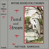 Pond and Stream