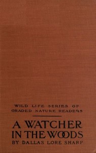 A Watcher in The Woods