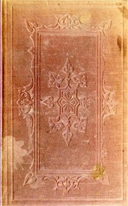 The Bunsby Papers (second series): Irish Echoes