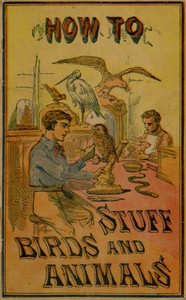How to stuff birds and animals : $b A valuable book giving instruction in collecting, preparing, mounting, and preserving birds, animals, and insects