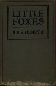 Little Foxes: Stories for Boys and Girls