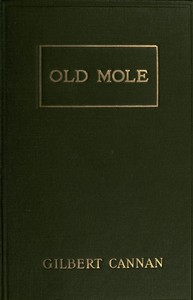 Old Mole: Being the Surprising Adventures in England of Herbert Jocelyn Beenham, M.A., Sometime Sixth-Form Master at Thrigsby Grammar School in the County of Lancaster