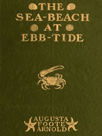 The Sea-beach at Ebb-tide: A Guide to the Study of the Seaweeds and the Lower Animal Life Found Between Tide-marks