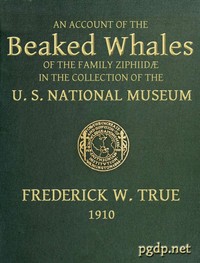 The Beaked Whales of the Family Ziphiidae: An Account of the Beaked Whales of the Family Ziphiidae in the Collection of the United States Museum...
