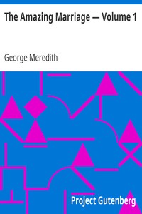 The Amazing Marriage — Volume 1