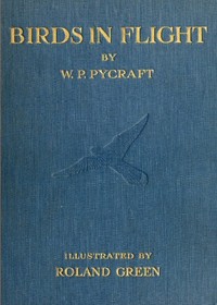 Birds in Flight