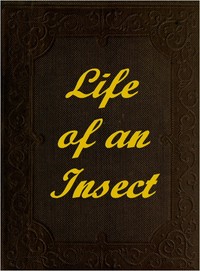 The Life of an Insect: being a history of the changes of insects from the egg to the perfect being.