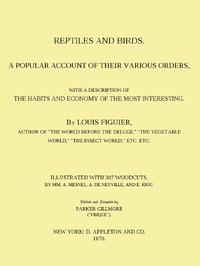 Reptiles and Birds: A Popular Account of Their Various Orders, With a Description of the Habits and Economy of the Most Interesting