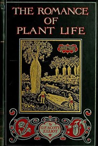 The Romance of Plant Life: Interesting Descriptions of the Strange and Curious in the Plant World