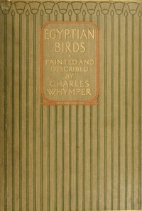 Egyptian Birds: For the most part seen in the Nile Valley