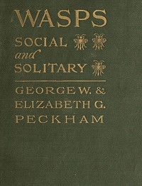 Wasps, Social and Solitary
