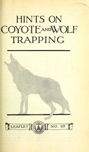 Hints on Wolf and Coyote Trapping