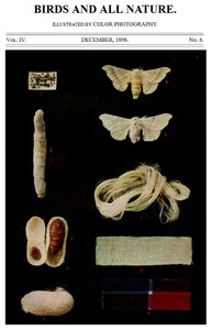 Birds and All Nature, Vol. 4, No. 6, December 1898: Illustrated by Color Photography