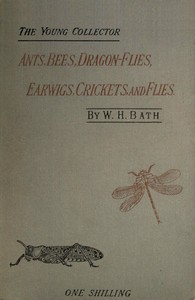 The Young Collector's Handbook of Ants, Bees, Dragon-flies, Earwigs, Crickets, and Flies: (Hymenoptera, Neuroptera, Orthoptera, Hemiptera, Diptera).