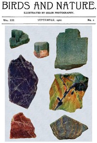 Birds and Nature, Vol. 12 No. 2 [July 1902]: Illustrated by Color Photography