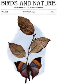 Birds and Nature, Vol. 12 No. 3 [August 1902]: Illustrated by Color Photography