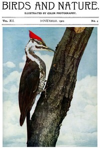 Birds and Nature, Vol. 12 No. 4 [September 1902]: Illustrated by Color Photography