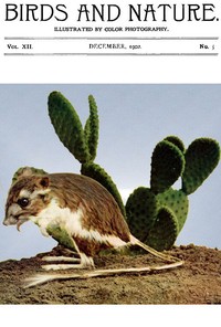 Birds and Nature, Vol. 12 No. 5 [December 1902]: Illustrated by Color Photography