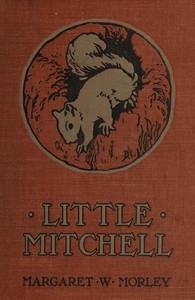 Little Mitchell: The Story of a Mountain Squirrel