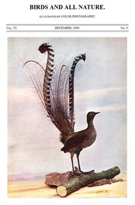 Birds and All Nature, Vol. 6, No. 5, December 1899: Illustrated by Color Photography