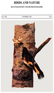 Birds and Nature Vol. 08, No. 3, October 1900: Illustrated by Color Photography