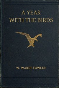 A Year with the Birds: Third Edition, Enlarged