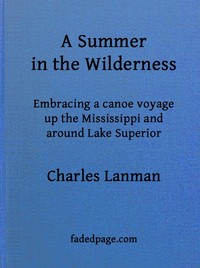 A Summer in the Wilderness: embracing a canoe voyage up the Mississippi and around Lake Superior