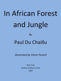 In African Forest and Jungle