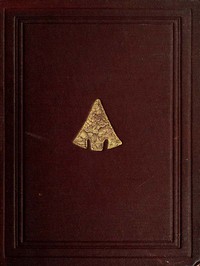 The Ancient Stone Implements, Weapons and Ornaments, of Great Britain: Second Edition, Revised