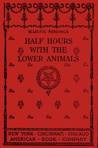 Half Hours with the Lower Animals: Protozoans, Sponges, Corals, Shells, Insects, and Crustaceans