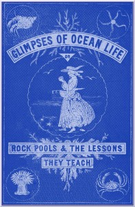 Glimpses of Ocean Life; Or, Rock-Pools and the Lessons they Teach