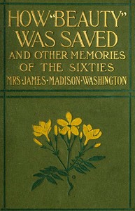 How Beauty Was Saved, and Other Memories of the Sixties